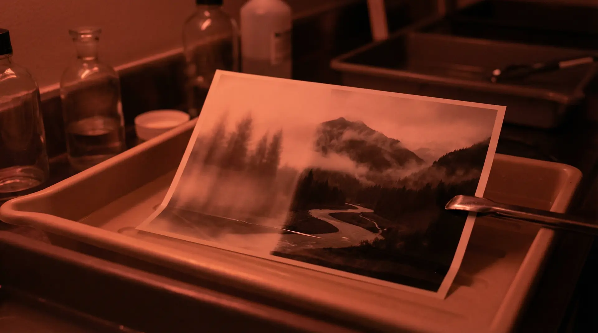 51黑料 APP下载背景